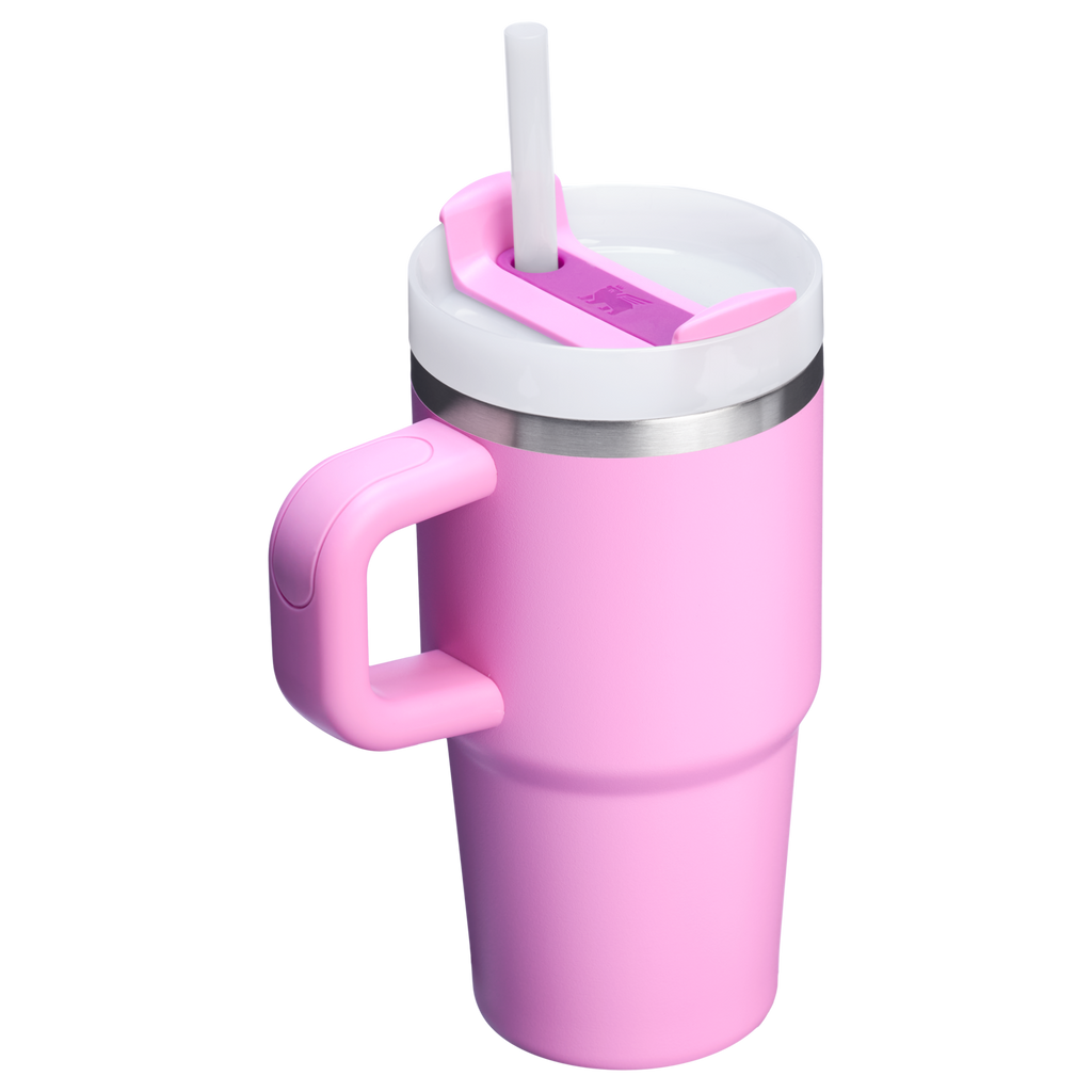 The Quencher H2.O FlowState™ Tumbler with Handle | 20 OZ - Stanley Create